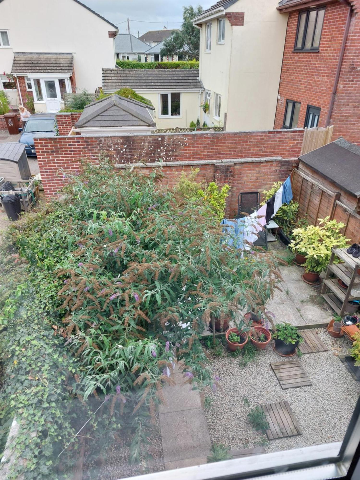 Bude Homestay Stratton  Exterior foto